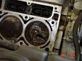 3306DSC00024-med